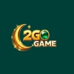 2 Go Game