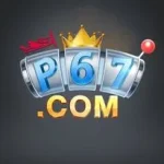 P67 Game