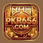 pkr656 APK