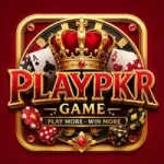 PlayPkr Game